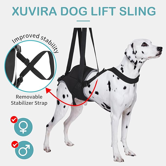 Dog Lift Harness for Extra Large Dogs – Hind Leg Support with Chest Stabilizer Straps, Adjustable Elastic and Buckles, Helps with Hip Dysplasia, Joint Pain, and Mobility, Easy to Wear, XL
