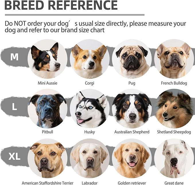 PUPTECK Non-Slip Dog Socks to Prevent Licking Paws, Double Sides Dog Boots & Paw Protectors Booties on Hardwood Floors Hot Pavement with Grippers, for Small Medium Large Senior Dogs, Navy Blue L