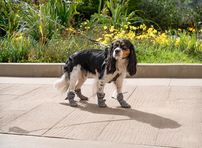 Canada Pooch Dog Boots for Hot Pavement - Dog Boots & Paw Protectors with Anti Slip Rubber | Water Friendly, Breathable Dog Shoes for Hot Days, Great for Dogs Grey - Size 4