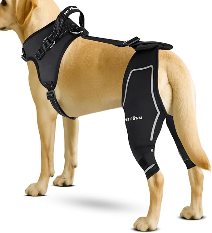 Comfortable Dog Knee Brace for Both Hind Legs with Harness - for ACL Tear, Luxating Patellae, Osteoarthritis & Instability - for Recovery & Injury Prevention in Active/Aging Dogs - (XLarge)