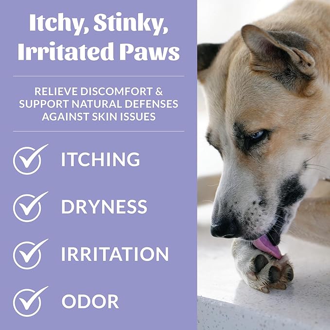 Skout's Honor Probiotic Paw Spray for Dogs - Microbiome-Friendly Certified - Alcohol-Free, Fragrance-Free & Non-Medicated - Supports Healthy Skin & Relieves Itchy, Stinky Paws, 8 oz, 2-Pack