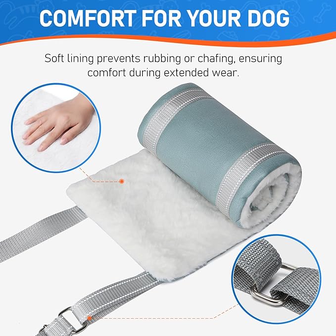 Dog Lift Harness for Large Dogs, Adjustable Dog Sling for Back Legs, Hip Support Harness to Help Lift Dogs Rear for Canine Aid and Old K9 Cruciate Ligament Rehabilitation - Large, Blue