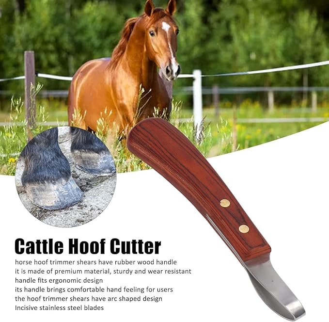 CHICIRIS Hoof Knife, Double Edged Hoof Trimming Knife with Wooden Handle Horse Farrier Tool, Stainless Steel Blade, Multifunctional Cow Horseshoe Knife for Hoof of Cows and Horses