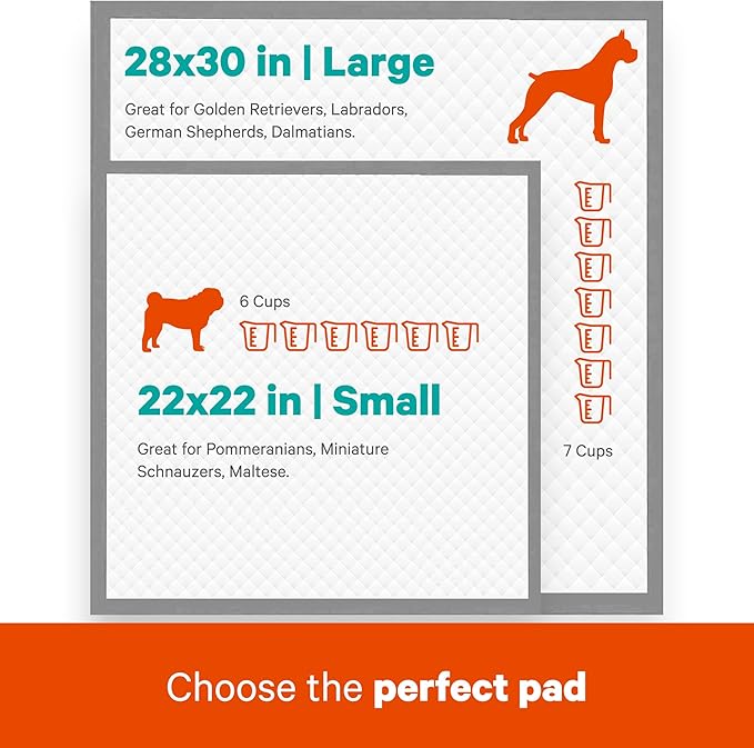 AS62930 Dog Training Pads, Pack of 100, Gray, 22" x 22" - Pack of 100