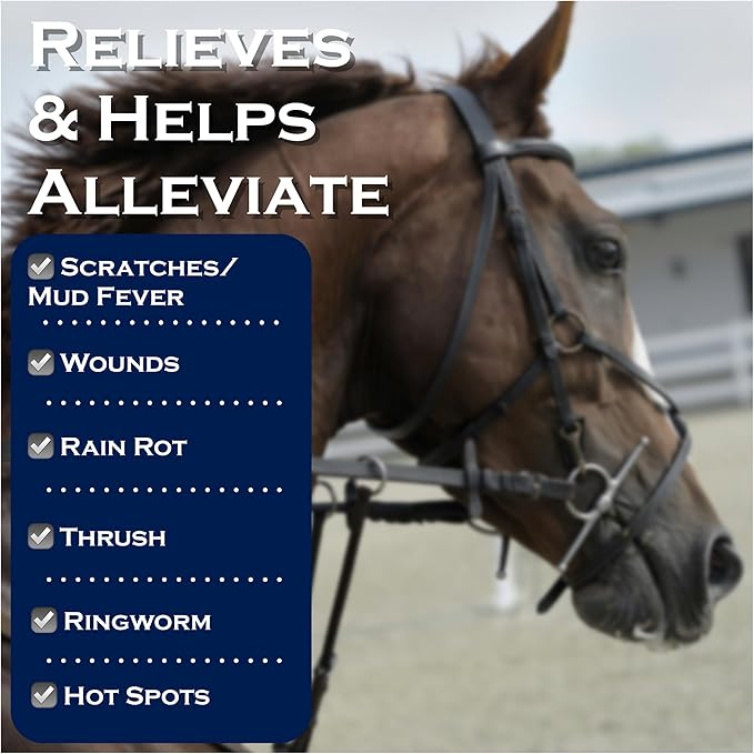 Show Out Skin & Scratches 4 oz Concentrate - Fast Relief and Prevention for Horse Care. Use on Equine Scratches/Mud Fever, Girth Itch, Mange, Thrush, Rain Rot, Ringworm, etc w/Empty Spray Bottle