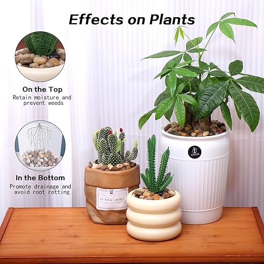 Calofulston 5lb Drainage Rocks for Potted Plants, 1/5 Inch Small Pebbles for Plants, Aquarium, Fish Tank, Terrarium, Succulent, Vases, Decorative Pea Gravel for Plants, Mixed Color