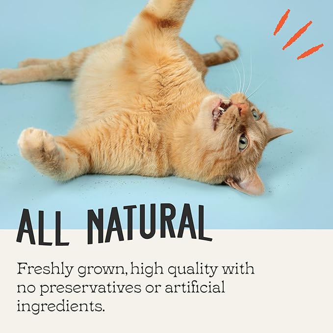 Catnip, All Natural Premium Catnip (8 oz Thick Cut)