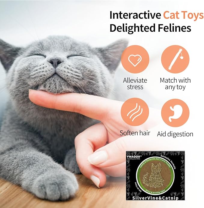 Catnip & Silvervine Powder – 30g Blend of Silvervine Gall Fruit & Catnip, Non-Addictive, for All Cat Ages, Multi-Use with Toys, Scratchers & Protecting Furniture, with 5 Little Pouches