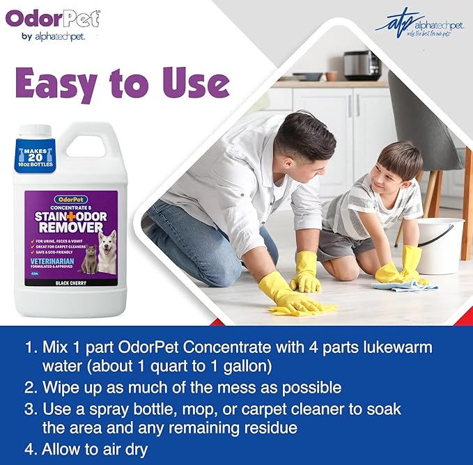 OdorPet Pet Stain Remover and Odor Eliminator - 64 Oz (Makes 2.55 Gallons of Working Solution) Non Staining, Professional Strength, Black Cherry Scent by Alpha Tech Pet
