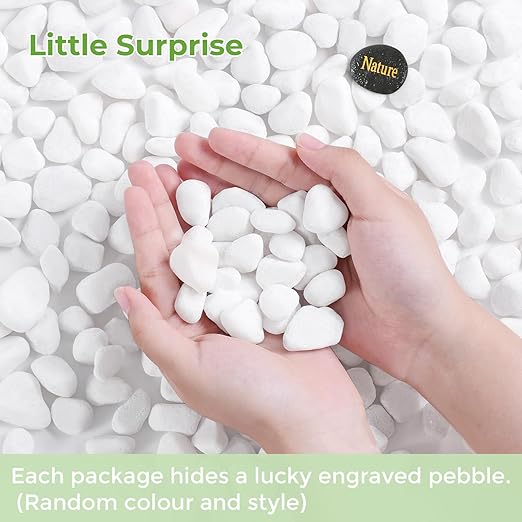 SIDONG 5 LB White River Rocks, 0.4-1.2 Inches Matte Pebbles for Indoor Plants, Aquarium Rocks Used in Fish Tank, Decorative Stones for Plants, Vases, Home Décor, Crafting, Garden Landscaping
