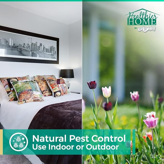 CHOMP! Travel Size Bed Bug & Insect Repellent, Natural, TSA Approved Indoor Pest Control Spray for Travel & Home, Plant-Based Dust Mite, Ant, Spider, Fly Killer, Peppermint Scent, 3.4 Fl Oz