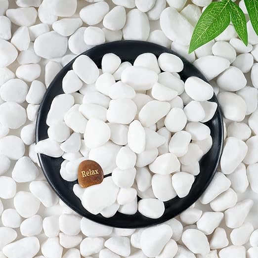 SIDONG 5 LB White River Rocks, 0.4-1.2 Inches Matte Pebbles for Indoor Plants, Aquarium Rocks Used in Fish Tank, Decorative Stones for Plants, Vases, Home Décor, Crafting, Garden Landscaping