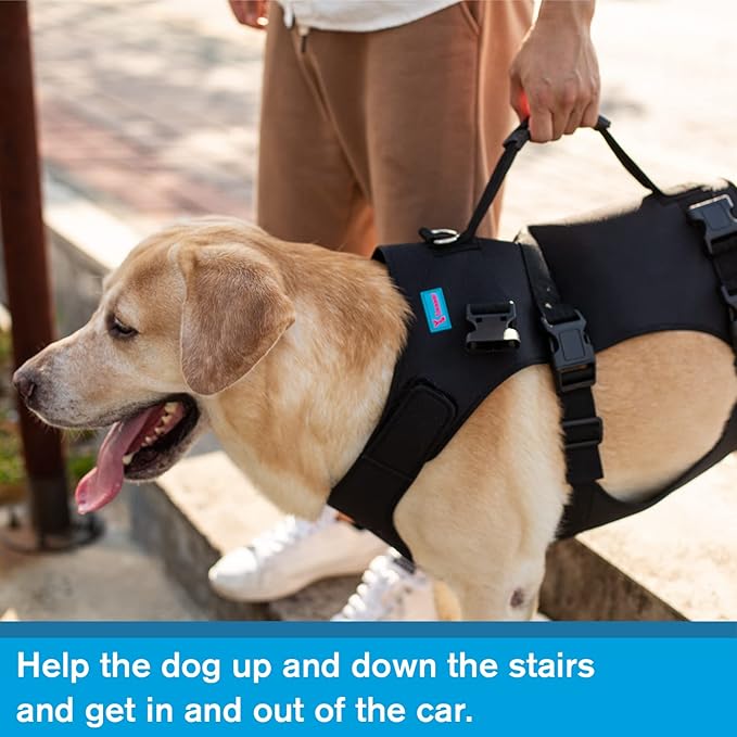 Dog Lift Harness, Rehabilitation Lifts Vest for Dogs, Support & Recovery Sling, Adjustable Breathable Lifting Straps for Old, Joint Injuries, Arthritis, Paralysis Dogs Walk (S, Black)