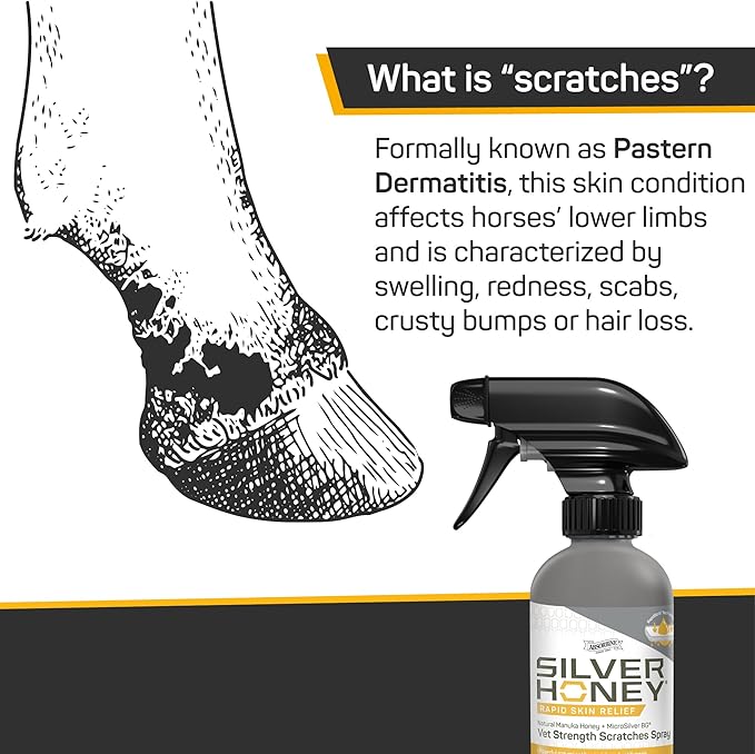 Silver Honey Rapid Relief 6oz Spray for Horses Only, Use on Equine Scratches / Pastern Dermatitis / Mud Fever / Dew Poisoning / Cracked Heels