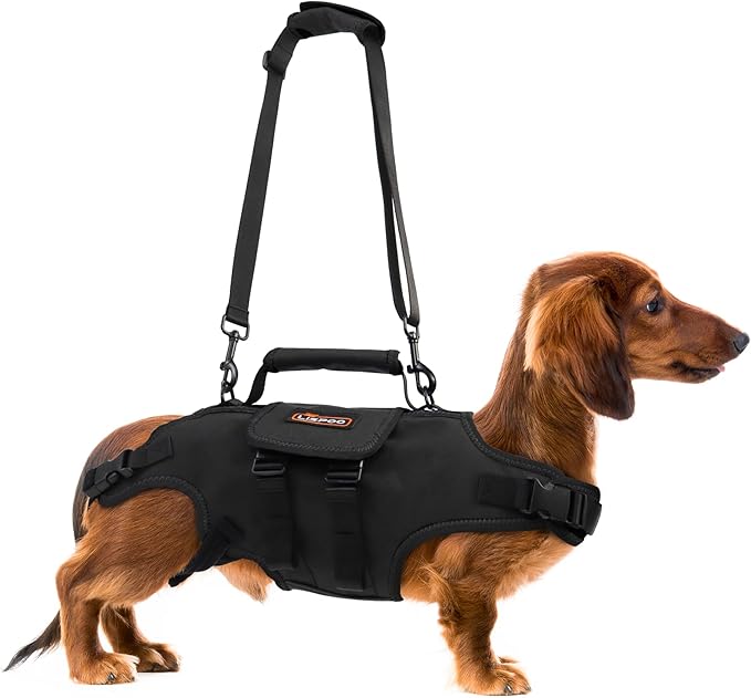 Dog Lift Harness, Full Body Support with Adjustable Control Handle for Medium Senior Dogs, Post-Surgery Recovery & Joint Problems (Oxford Cloth, M)