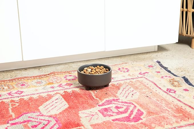 Waggo Uplift Ceramic Dog Bowl for Small Medium and Large Breeds - Heavyweight and Durable Pet Food and Water Dish Crock, Dishwasher Safe, Modern, Elevated Feeder (Small, Teracotta)