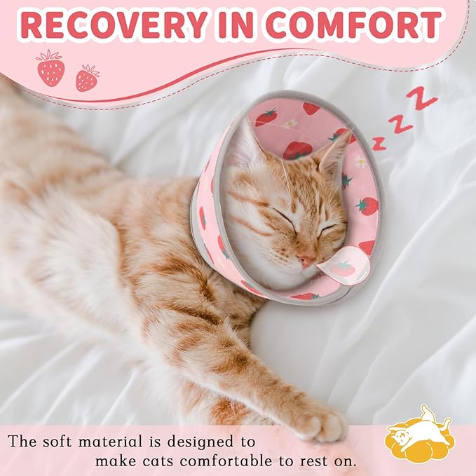 Cat Cone Collar Soft, Comfortable Cat Recovery Collar Pet Cone for Small Large Cats, Lightweight Elizabethan Collar for Cats Kittens After Surgery Prevent from Licking Wounds, Pink, M