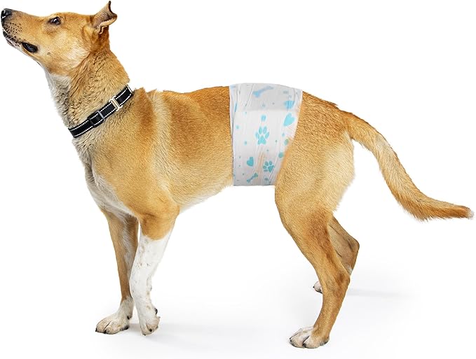 Male Dog Wrap, Disposable Dog Diapers, 40 Count, L (Waist 23.6”-31.5”), Wetness Indicator, Ultra Protection, Leak Proof, Super Absorbent, Soft
