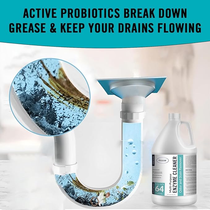 Multi-Purpose Probiotic Enzyme Cleaner, Made in USA - Pet Stain and Odor Remover - Concentrated - Professional & Home Strength Drains, Floors, Bathrooms, Toilets Trash Can, (1 gallon, Fresh fragrance)