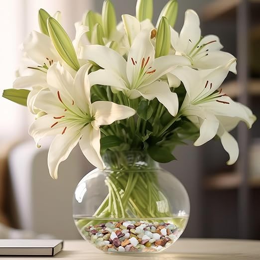 5lbs Pebbles for Indoor Plants, 3/8 Inch Small Rocks for Potted Plants, Succulents, Vase Fillers, Cactus Planters, Bird Bath, Fountain, Outdoor Garden Landscaping