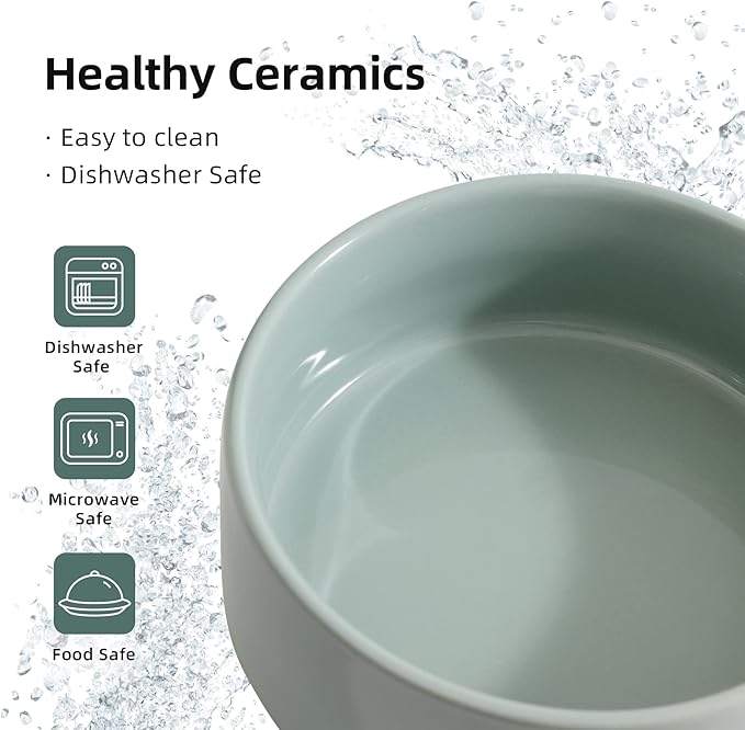 Ceramic Set of 2 Cat Bowls, Food and Water Bowls for Cats, Kitty, 2pcs Cat Dishes, Pet Feeder(5.1inch, 2 x Light Green Bowls)