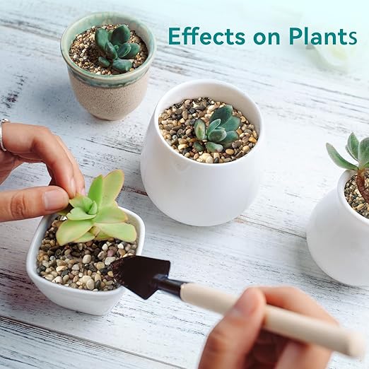 5 lbs Small Rocks for Plants, 1/5 Inch Gravel for Plants Drainage, Decorative Potting Pebbles for Indoor Plants, Vases, Bamboo, Succulent, Terrarium, Crafts, Cactus