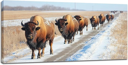Quorin American Bison Large Wall Art Rural Country Landscape Pictures Wild Animal Wall Decor Nature Canvas Print Painting Artwork for Bathroom Living Room Bedroom 30"x60"