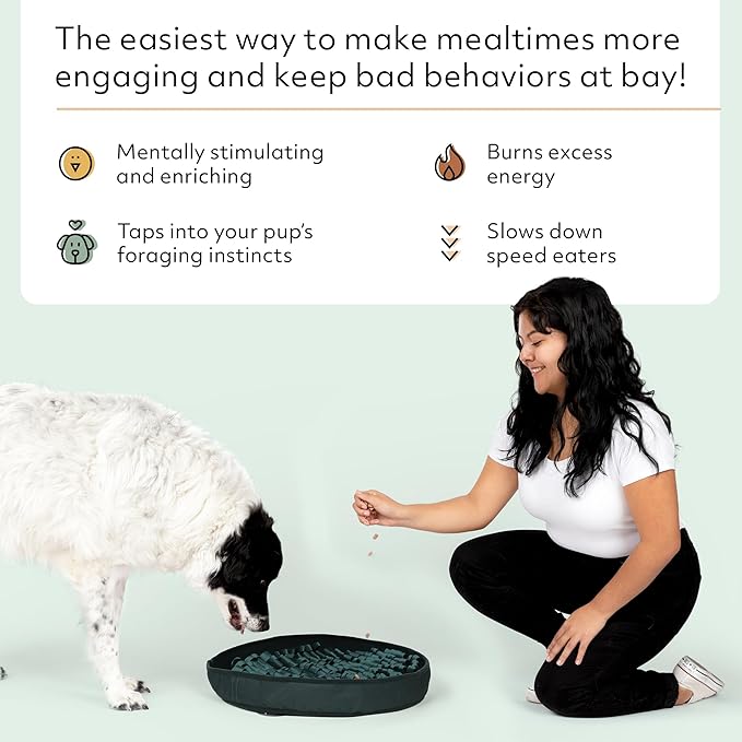 Reggie Stimulating Feeder Mat for Dogs | Relieve Speed Eating, Boredom, Stress | Vet-Approved & Ideal for All Ages, Dog Breeds, and Sizes (Hunter Green Feeder Mat)