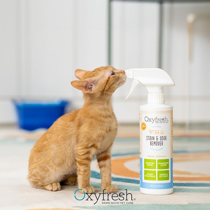 Oxyfresh Advanced Pet Stain Remover & Urine Odor Eliminator – Fast Acting Pet Odor Eliminator for All Surfaces - Best Way to Remove Stains - Dog & Cat Urine Neutralizer