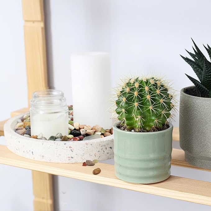 Succulent Rocks, 3/8 Inch Polished Pebbles for Indoor Plants, Decorative River Rocks for Plants Indoor, Vase Fillers, Cactus Planters, Bird Bath, Fountain, Outdoor Garden Landscaping