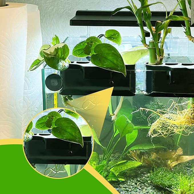 Aquarium Plant Holder for Rimmed Tank, Aquarium Hanging Plant Holder, Plastic Aquatic Plant Pot with 5 Hole, Fish Tank Decorations for Aquatic Plants, 0.5 inch