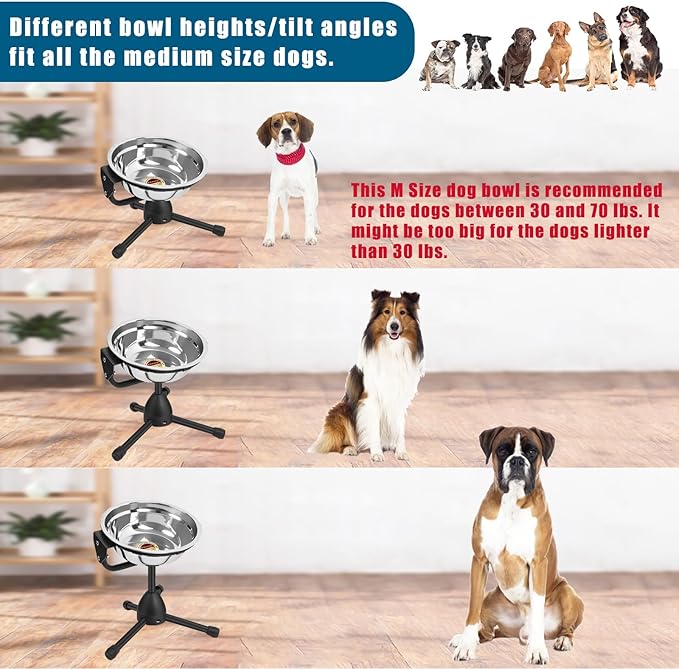 Elevated Dog Bowl with Adjustable Metal Stand, Medium Size for Dogs 30-70 lbs, 0.5 Gal 2 Liter, Stainless Steel Food & Water Bowl Set