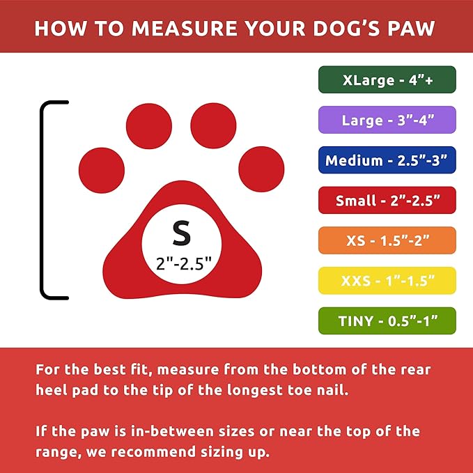 PawZ Rubber Dog Boots for Paws up to 2 1/2", 24 Total (2 Packs of 12) - All-Weather Dog Booties for Hot Pavement, Snow, Mud, and Rain - Waterproof, Anti Slip Dog Socks - Small, Red