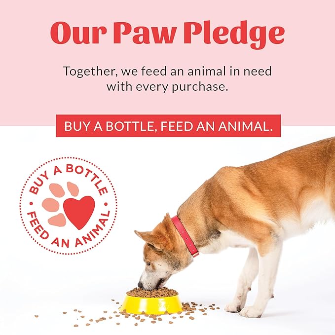 Skout's Honor Probiotic Paw Spray for Dogs - Microbiome-Friendly Certified - Alcohol-Free, Fragrance-Free & Non-Medicated - Supports Healthy Skin & Relieves Itchy, Stinky Paws, 8 oz, 2-Pack