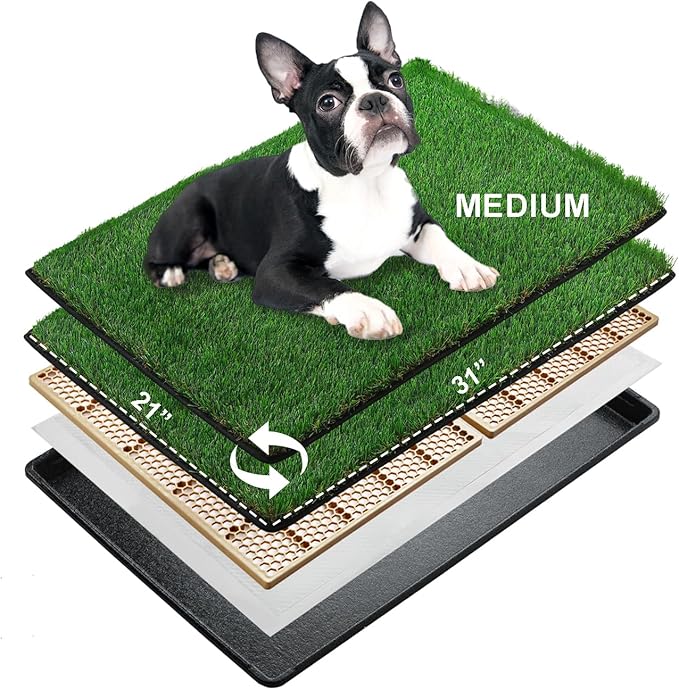 MEEXPAWS Dog Grass Pee Pads for Dogs with Tray | Medium 31×21 in | 2× Dog Artificial Grass Pads Replacement| Rapid Drainage | Indoor Litter Box | Hemmed Edge