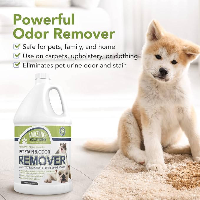 Pet Stain and Odor Remover - Enzyme Cleaner, Pet Urine Odor Eliminator Refill - Floor & Carpet Cleaner, Pet Deodorizers For Home, Fabric Freshener W/Fresh, Clean Scent, 1 Gallon