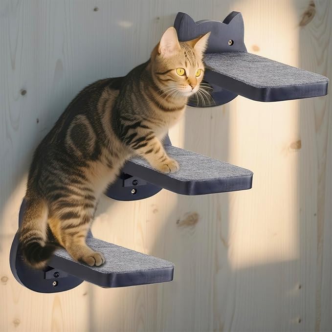 ESPETS Black Painted Solid Wood Cat Wall Climbing Steps Set of 3 - Wall Mounted Cat Floating Furniture Shelves and Perches, Sturdy Climber Stairs Ladders - Holds up 30lbs