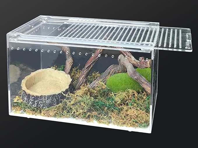 Acrylic Reptile Terrarium Enclosure 9.8" x 5.9" x 5.9" Magnetic Tarantula Breeding Box Transparent Insect Habitat for Jumping Spider Hermit Crab Lizard Sling Isopods Horned Frog Snake Gecko