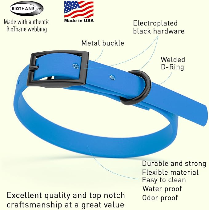 Dogline Biothane Waterproof Dog Collar Strong Coated Nylon Webbing with Black Hardware Odor- Proof for Easy Care Easy to Clean High Performance Fits Small Medium or Large Dogs, Cerulean Blue