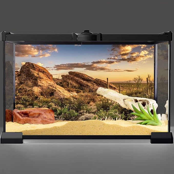 AWERT Reptile Habitat Background Blue Sky Oasis Cactus Sun and Desert Terrarium Background 48x20 inches Durable Polyester Background