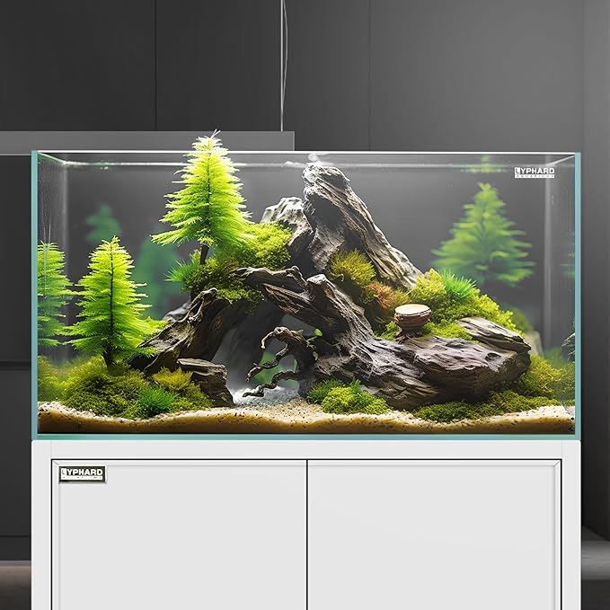 Tall Rimless Aquarium 9.5 Gallon, Ultra Clear Low Iron Small Fish Tank for Betta, L11.8×W11.8×H15.8 Glass Thickness 5mm with EVA Foam Leveling Mat