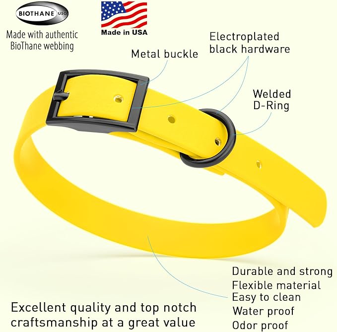 Dogline Biothane Waterproof Dog Collar Strong Coated Nylon Webbing with Black Hardware Odor- Proof for Easy Care Easy to Clean High Performance Fits Small Medium or Large Dogs, Lemon Yellow
