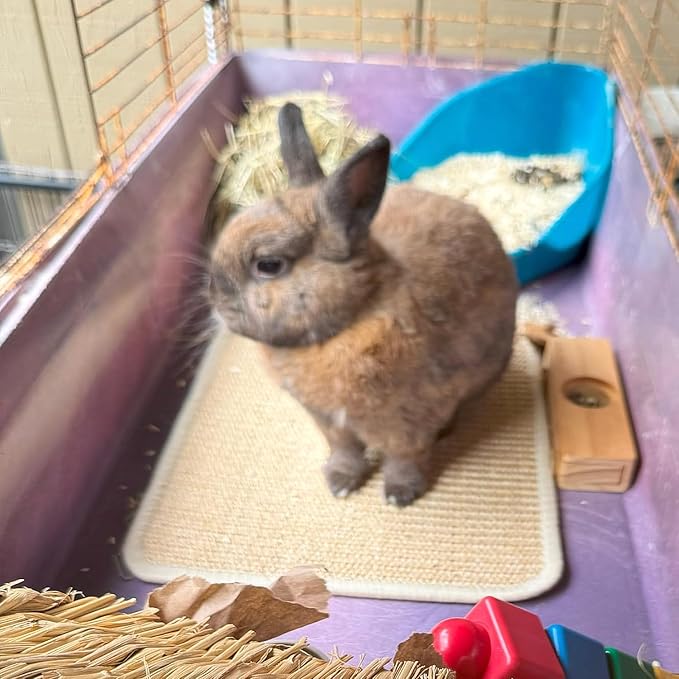 PODOO Bunny Scratch Pads, Sisal Rabbit Scratching Pad, Natural Rabbit Resting Mats for Cages, Forage Grass Mat Indoor Essentials Accessories for Guinea Pig Cat (2Pcs, 15.7x11.8 inches)