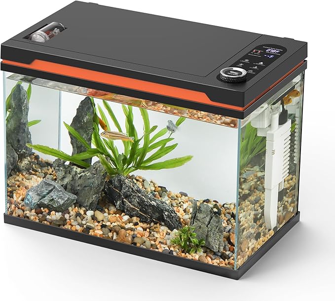 hygger Smart Aquarium Starter Kit, Glass Fish Tank with 24/7 Mode Light, Heater, Water Pump, Filter Media, Auto Feeder,Water Changer, Cleaning Tool, Fishing Net,Timer Automatic Switch (10 Gallon)