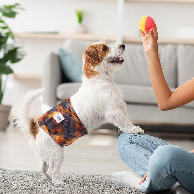 CuteBone Dog Diapers Male Washable Belly Band for Male Dogs Wraps Black 3pcs a Pack DM56L