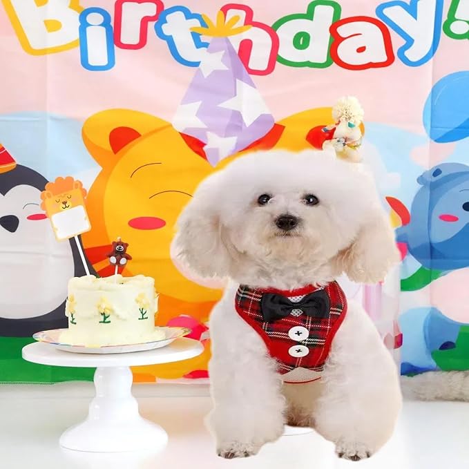 Dog Tuxedo for Wedding, Formal Pet Suit with Bow Tie and Leash, Adjustable Dog Costume for Small Medium Large Dogs, Birthday Christmas Halloween Party Apparel, M（8-14LB）