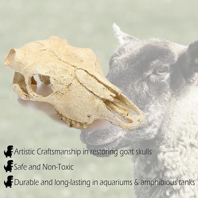 Aquarium Skull Décor Fish Hideout Cave Decorations Betta Tarantula Reptile Snake for Terrarium Ornament Dinosaur Animal Large Bones Halloween