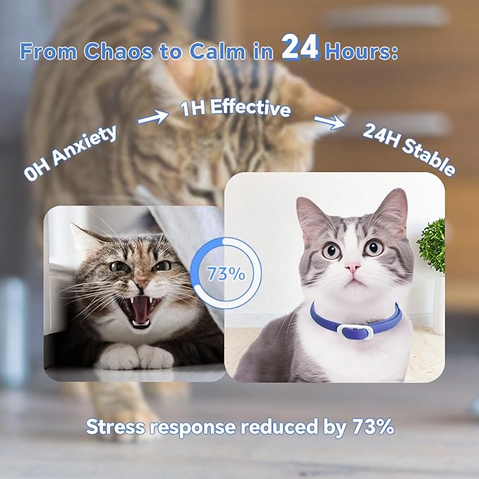 Calming Collar for Cats - 5 Pack, 150-Day Cat Calming Collar, Stress Relief & Anxiety Control for Cats, Calm Collars Cat (3 Blue & 2 Gray)