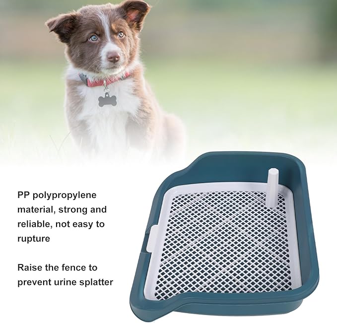 Fabater Dog Potty Toilet Training Tray, Portable Multifunctional Mesh Puppy Training Toilet Pad Holder with Bafflel for Small Dogs Puppies (Peacock Blue)