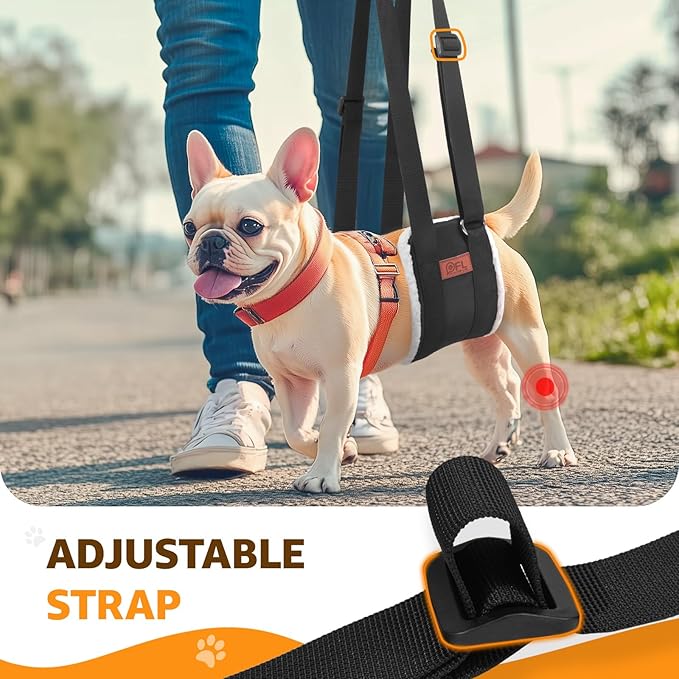 Adjustable Dog Lift Harness, Dog Sling for Large Dogs Lift Support and Rehab Harness for Weak Rear Legs, Soft Hind Leg Support Helps Senior, Injured, Disabled and After ACL Surgery Dogs(Black,Small)